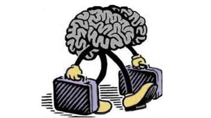 brain drain